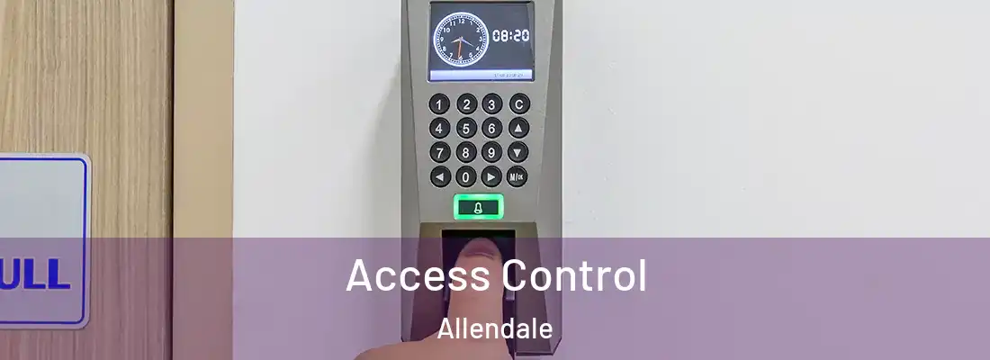 Access Control Allendale
