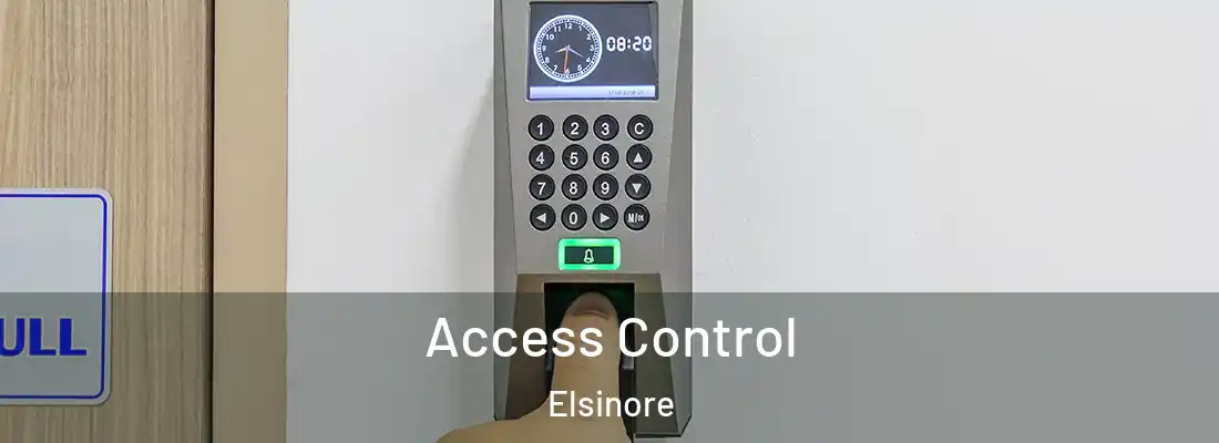 Access Control Elsinore