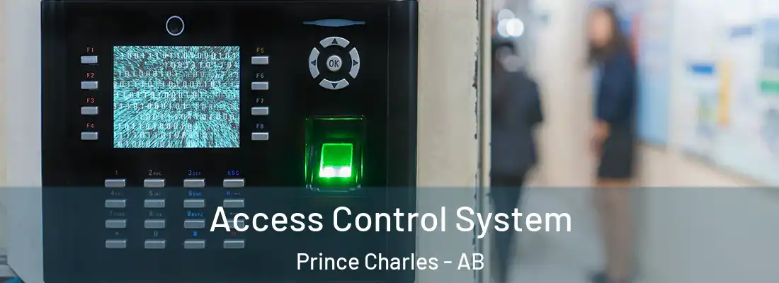  Access Control System Prince Charles - AB
