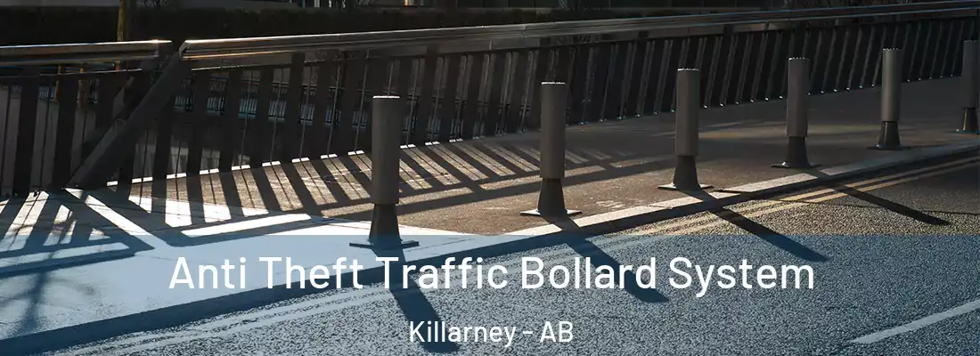 Anti Theft Traffic Bollard System Killarney - AB