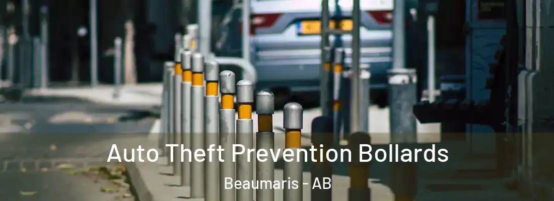  Auto Theft Prevention Bollards Beaumaris - AB