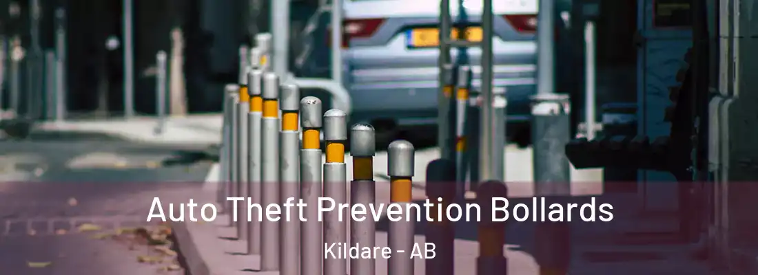  Auto Theft Prevention Bollards Kildare - AB