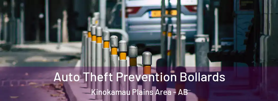  Auto Theft Prevention Bollards Kinokamau Plains Area - AB