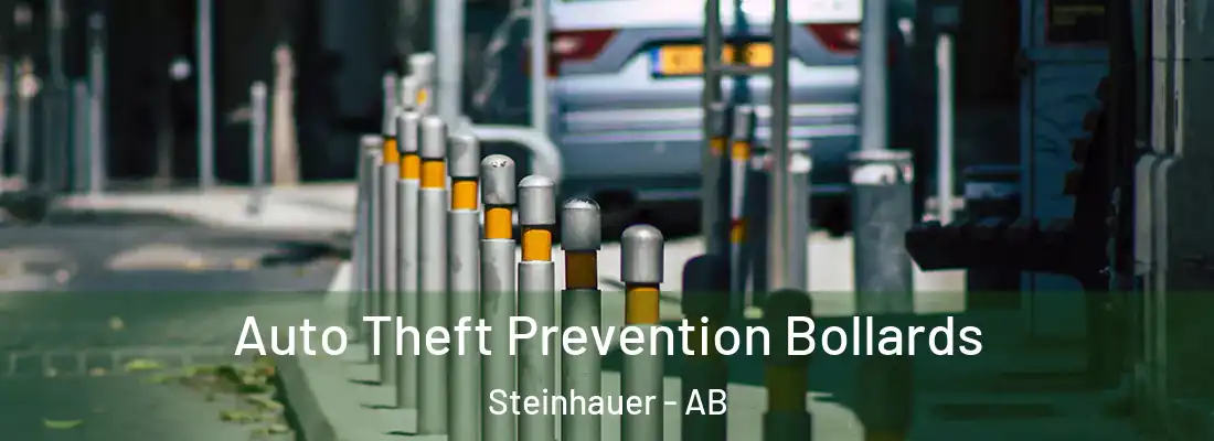  Auto Theft Prevention Bollards Steinhauer - AB