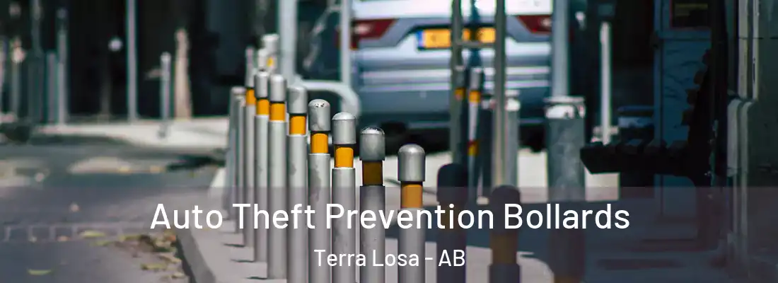  Auto Theft Prevention Bollards Terra Losa - AB