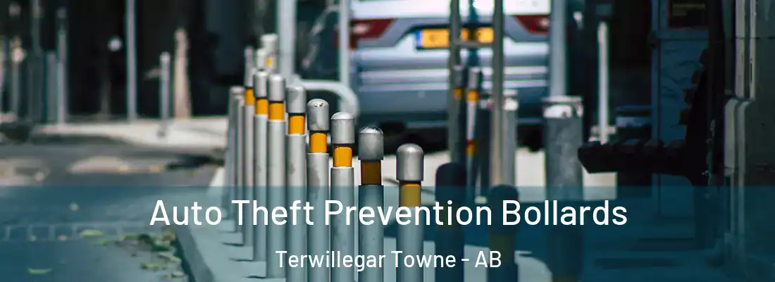  Auto Theft Prevention Bollards Terwillegar Towne - AB