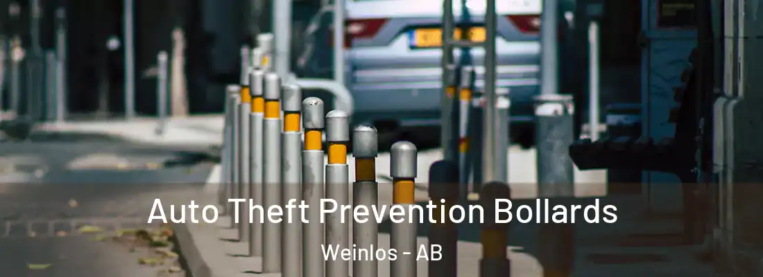  Auto Theft Prevention Bollards Weinlos - AB