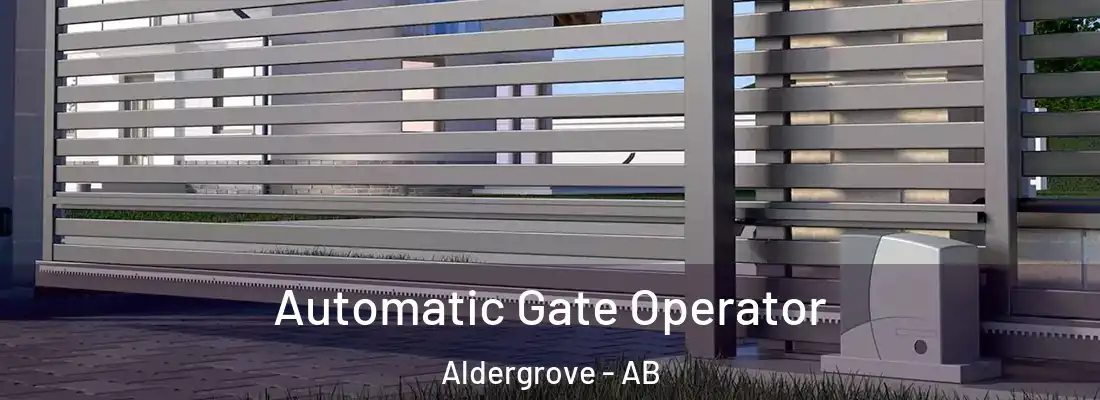  Automatic Gate Operator Aldergrove - AB