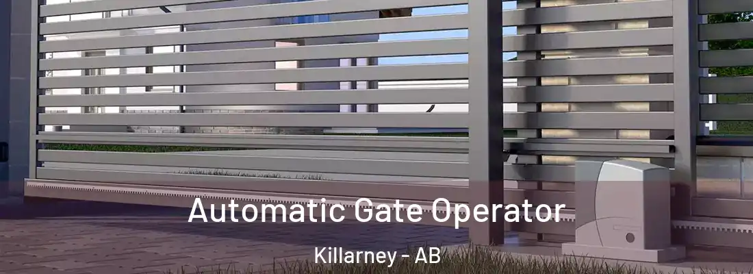  Automatic Gate Operator Killarney - AB
