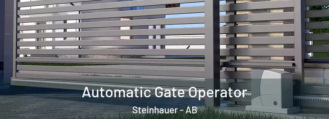  Automatic Gate Operator Steinhauer - AB