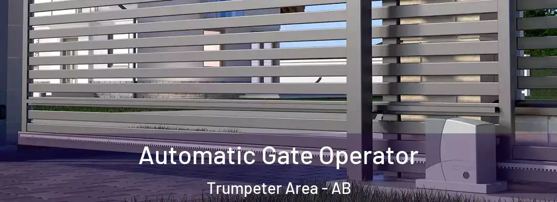  Automatic Gate Operator Trumpeter Area - AB