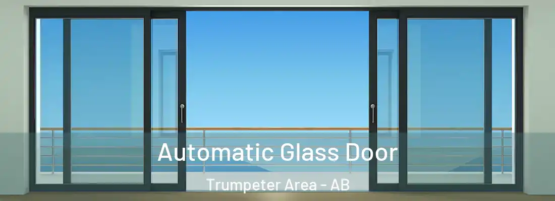  Automatic Glass Door Trumpeter Area - AB