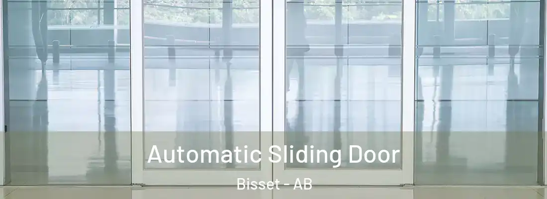  Automatic Sliding Door Bisset - AB