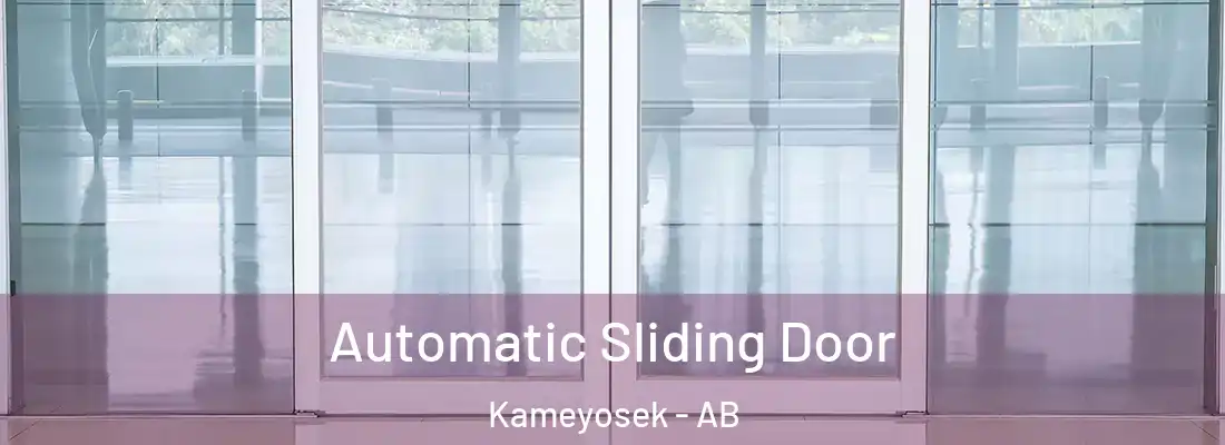  Automatic Sliding Door Kameyosek - AB