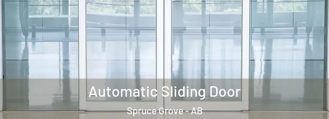  Automatic Sliding Door Spruce Grove - AB
