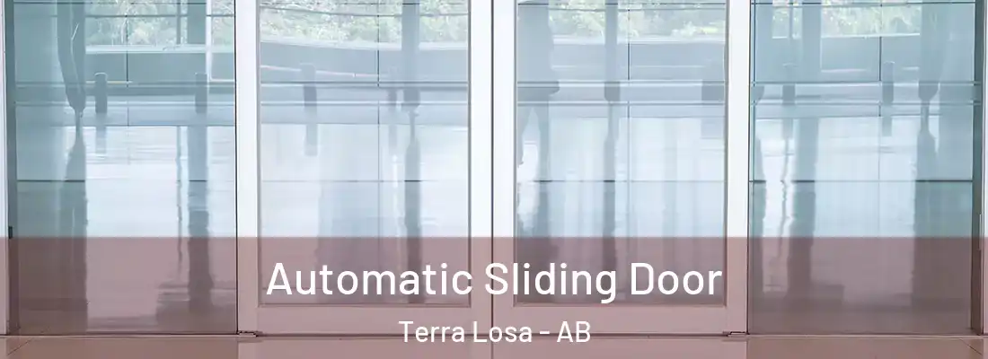  Automatic Sliding Door Terra Losa - AB