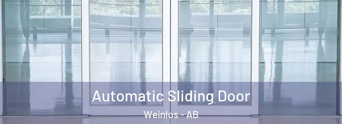  Automatic Sliding Door Weinlos - AB