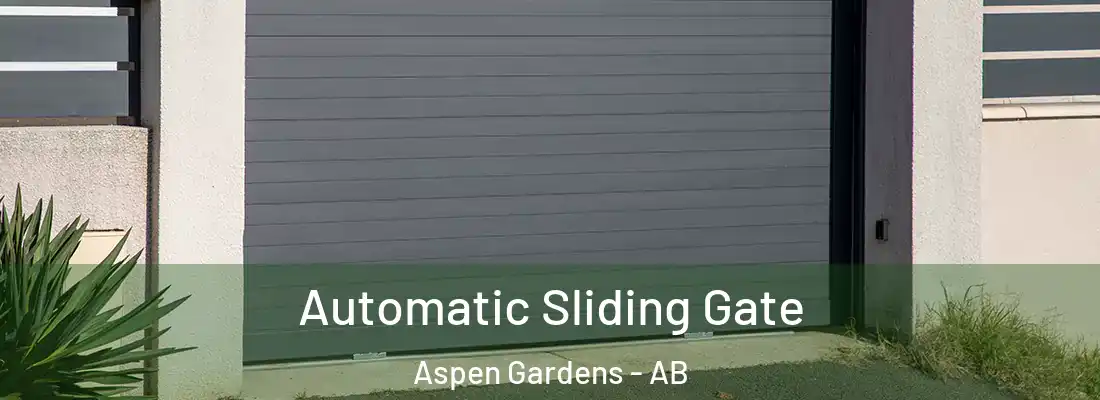  Automatic Sliding Gate Aspen Gardens - AB