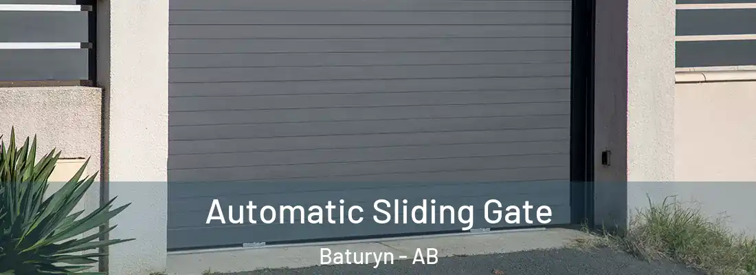  Automatic Sliding Gate Baturyn - AB