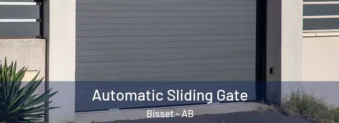  Automatic Sliding Gate Bisset - AB