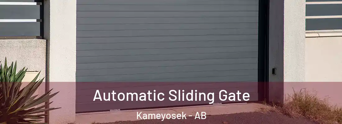  Automatic Sliding Gate Kameyosek - AB