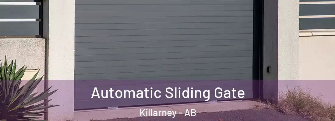  Automatic Sliding Gate Killarney - AB
