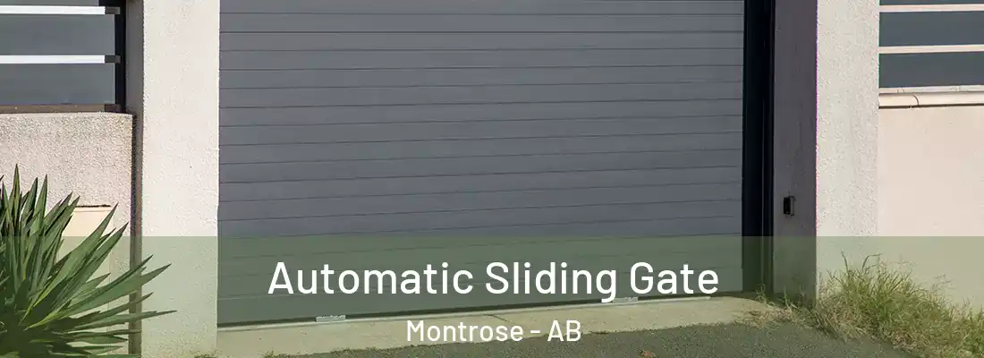  Automatic Sliding Gate Montrose - AB