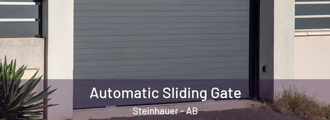  Automatic Sliding Gate Steinhauer - AB