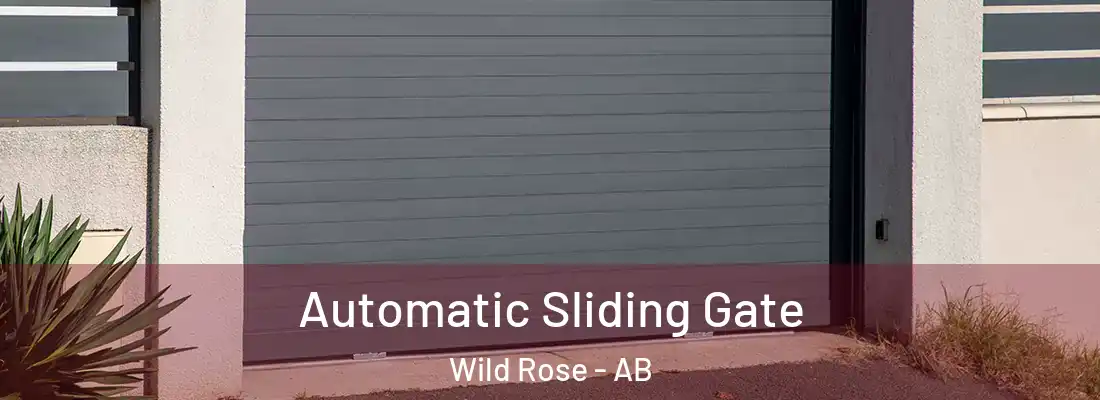  Automatic Sliding Gate Wild Rose - AB
