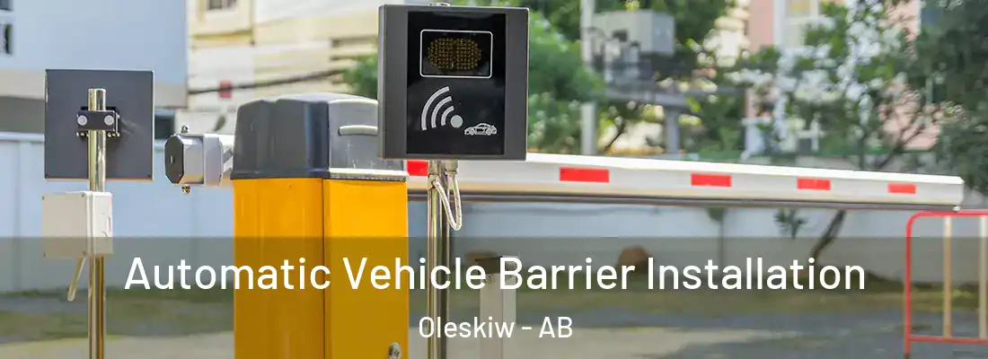  Automatic Vehicle Barrier Installation Oleskiw - AB