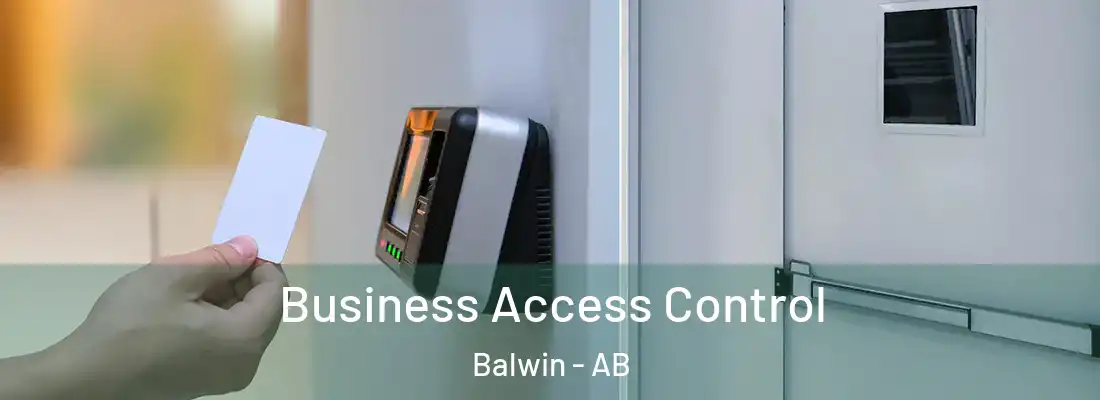  Business Access Control Balwin - AB