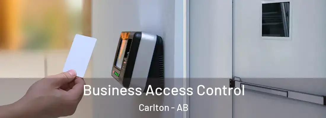  Business Access Control Carlton - AB