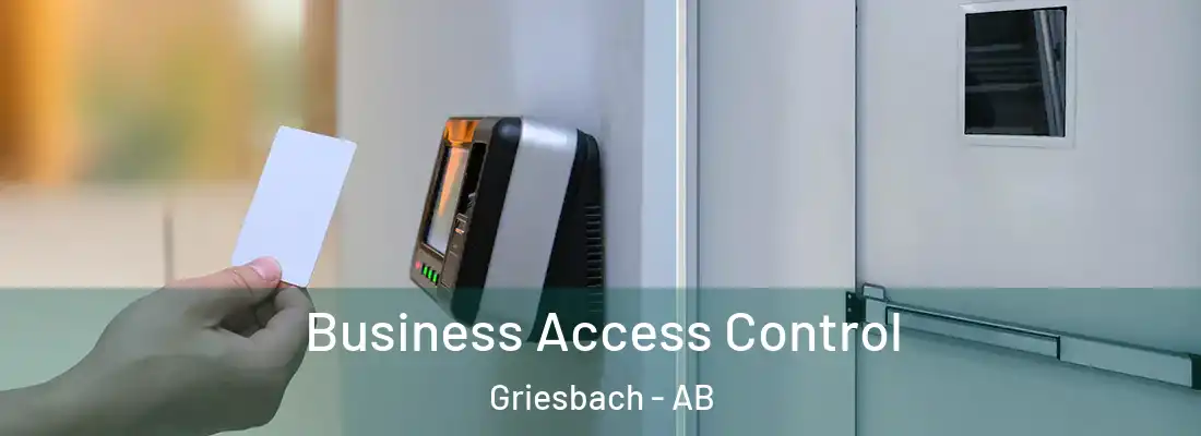  Business Access Control Griesbach - AB