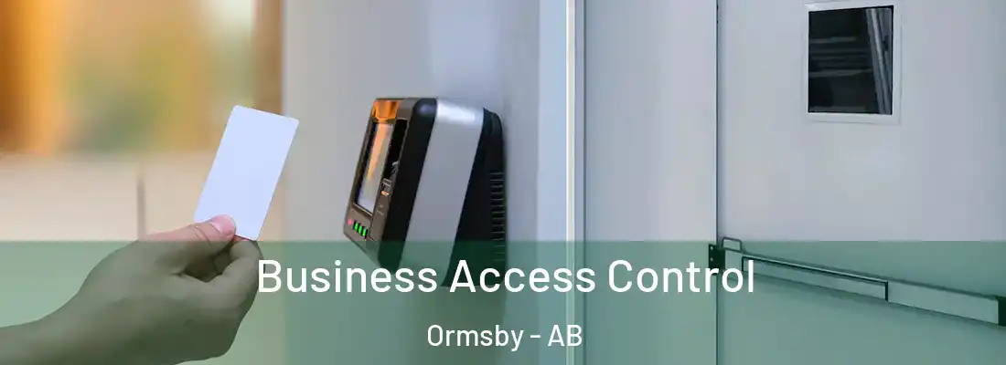  Business Access Control Ormsby - AB