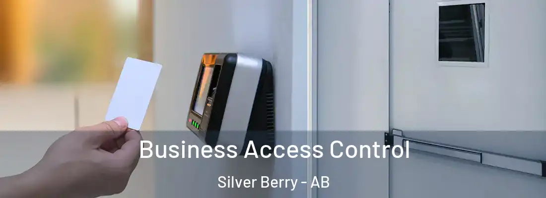  Business Access Control Silver Berry - AB