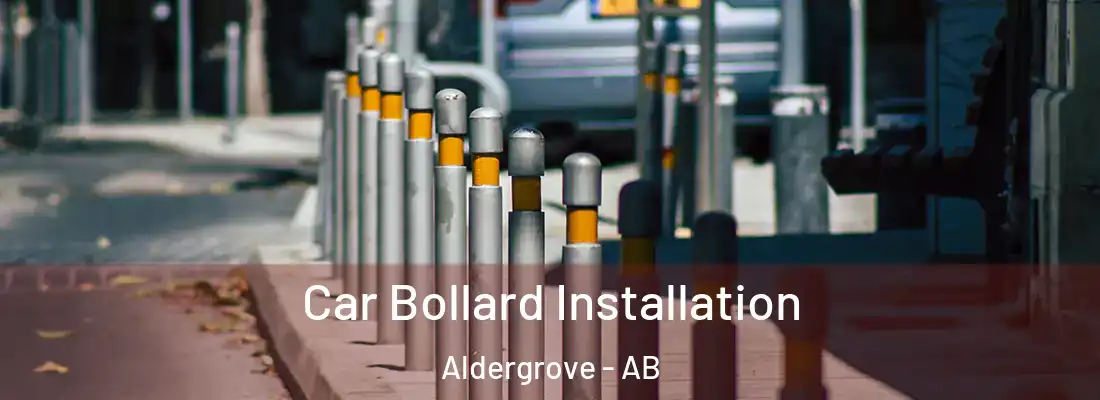  Car Bollard Installation Aldergrove - AB