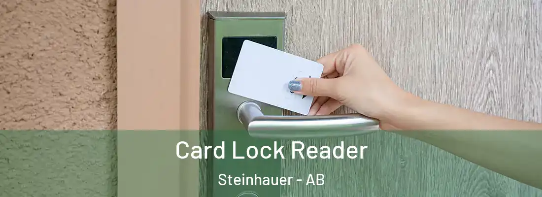 Card Lock Reader Steinhauer - AB