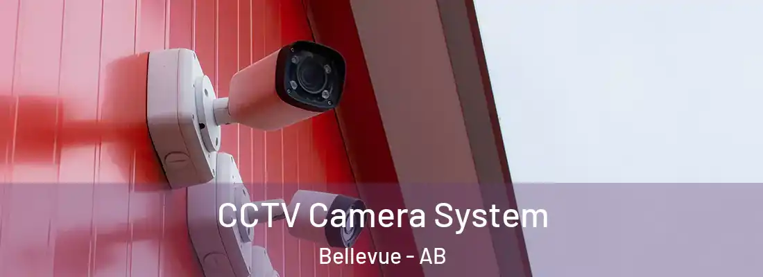  CCTV Camera System Bellevue - AB