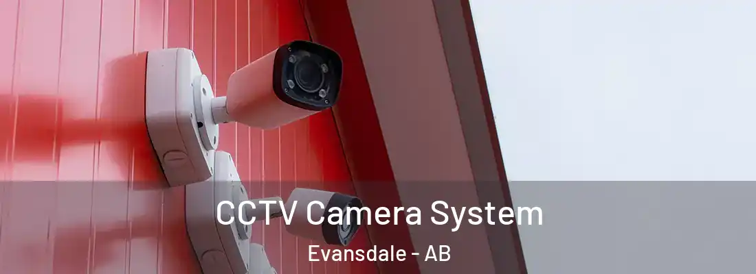  CCTV Camera System Evansdale - AB