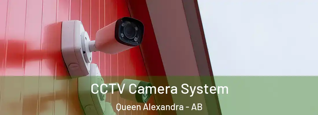  CCTV Camera System Queen Alexandra - AB