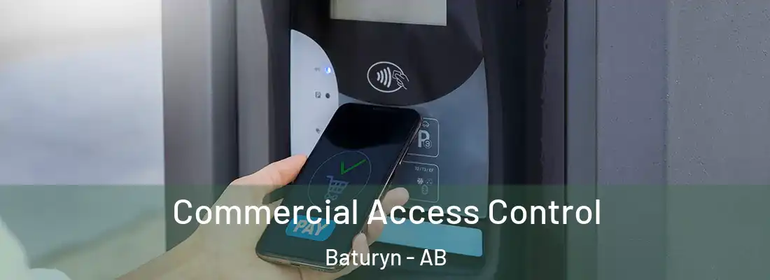  Commercial Access Control Baturyn - AB