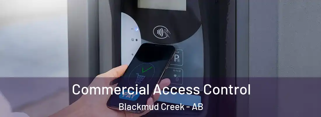  Commercial Access Control Blackmud Creek - AB