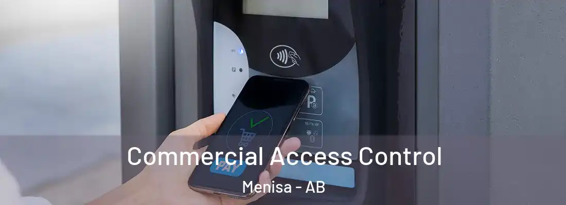  Commercial Access Control Menisa - AB