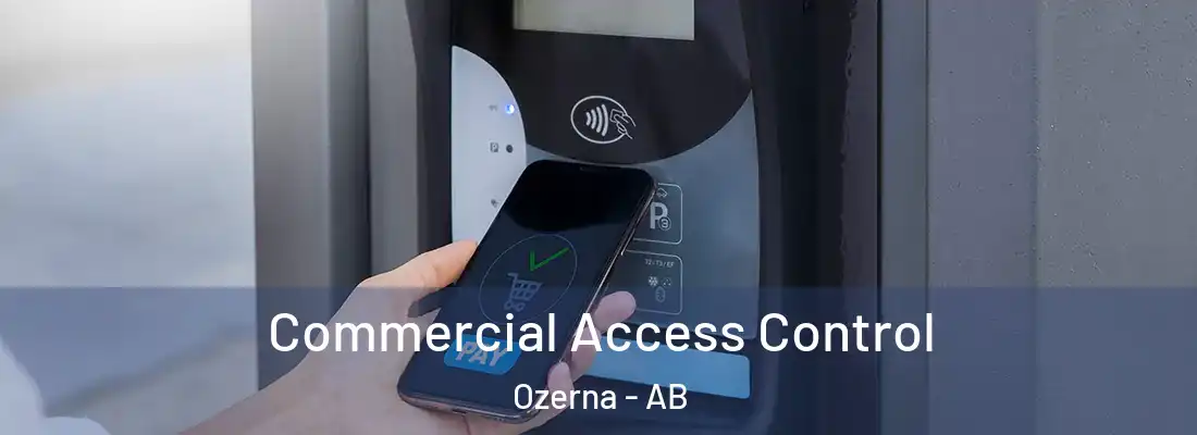  Commercial Access Control Ozerna - AB
