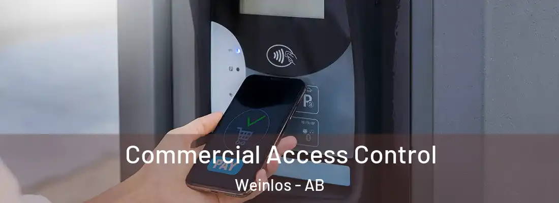  Commercial Access Control Weinlos - AB