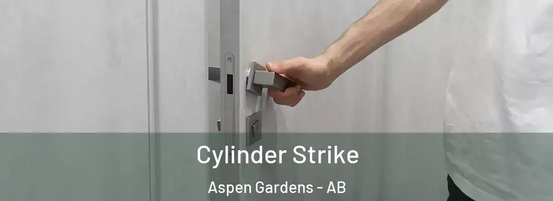  Cylinder Strike Aspen Gardens - AB