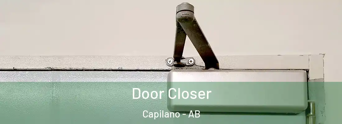  Door Closer Capilano - AB