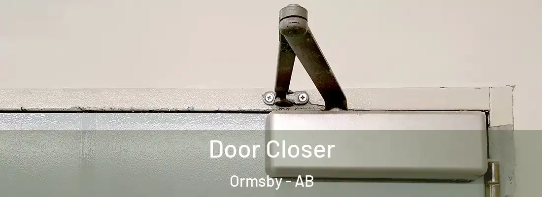  Door Closer Ormsby - AB