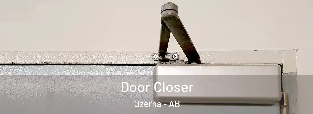 Door Closer Ozerna - AB