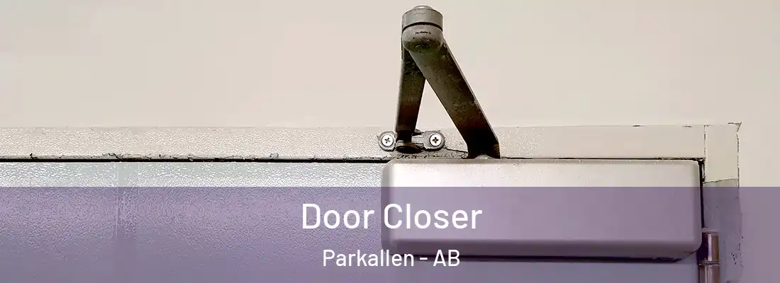  Door Closer Parkallen - AB